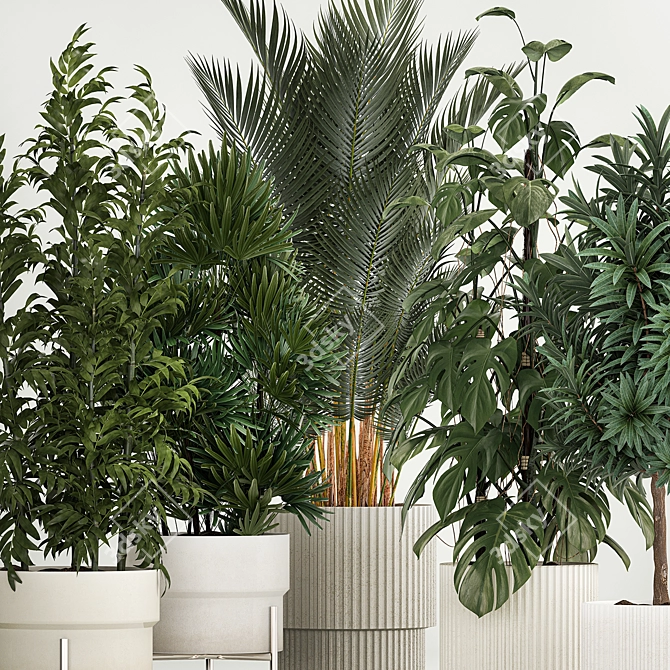Tropical Plants Collection in Concrete Pots 3D model image 2