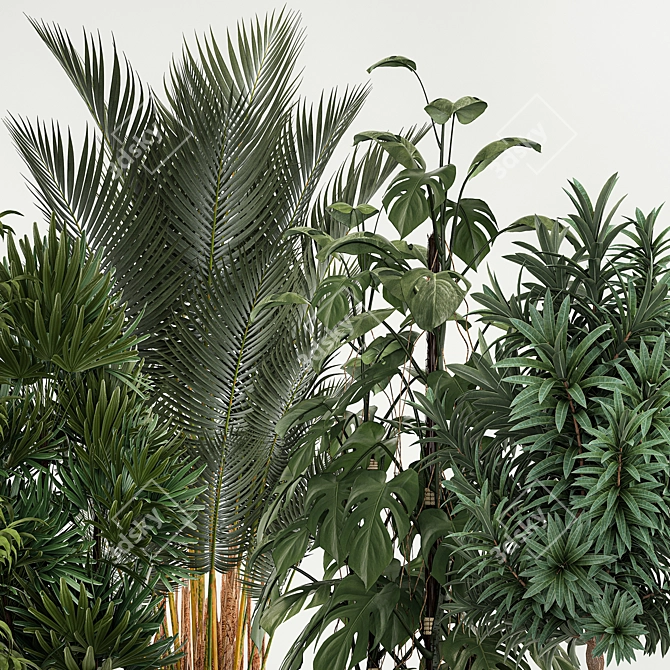 Tropical Plants Collection in Concrete Pots 3D model image 4