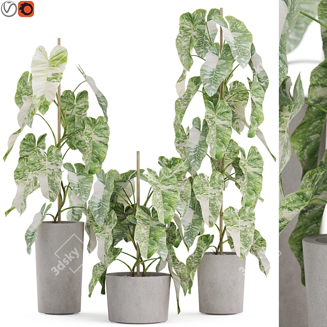 Greenery Selection 913 3D model image 1