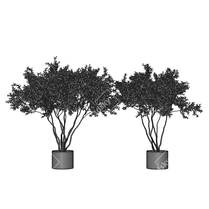  Stylish Indoor Plant Collection 3D model image 4