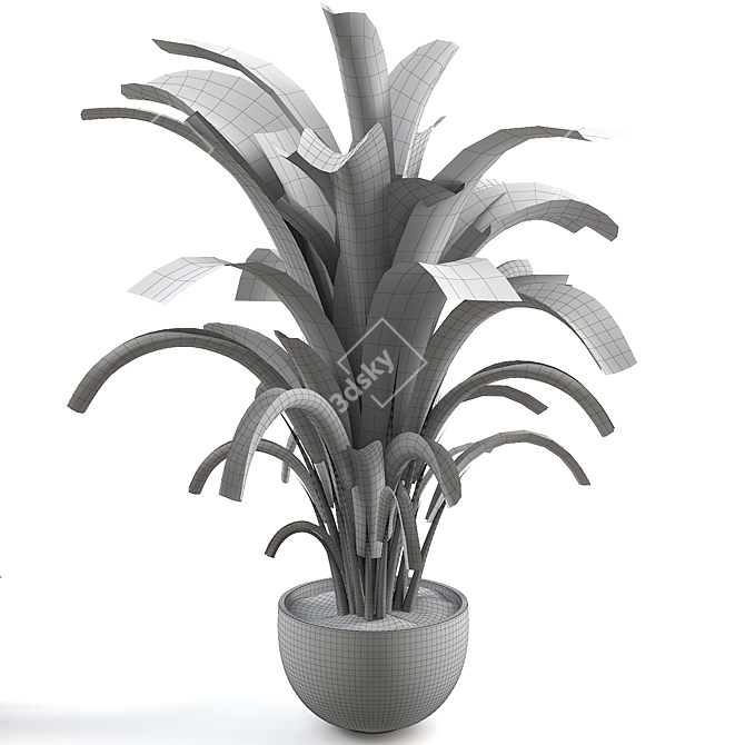 Tropical Banana Palm Houseplant 3D model image 2