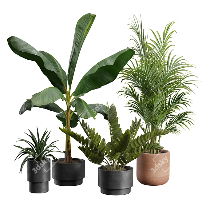 Exotic Indoor Plants Pack 43 3D model image 1