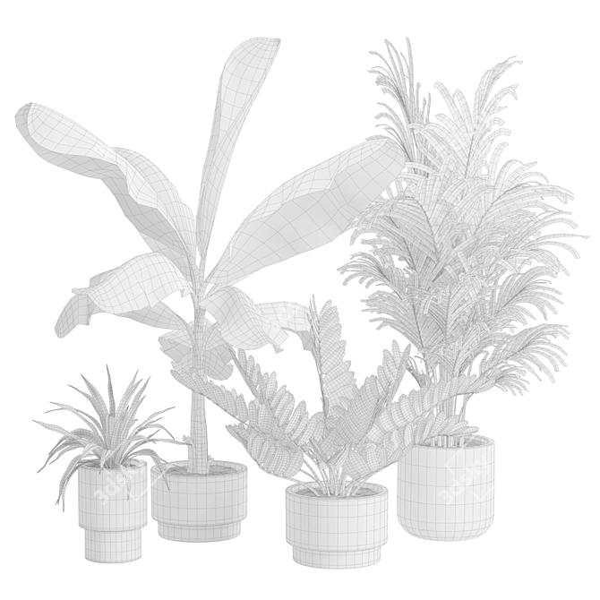 Exotic Indoor Plants Pack 43 3D model image 3