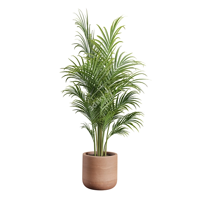 Exotic Indoor Plants Pack 43 3D model image 4