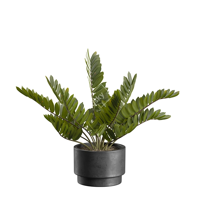 Exotic Indoor Plants Pack 43 3D model image 6