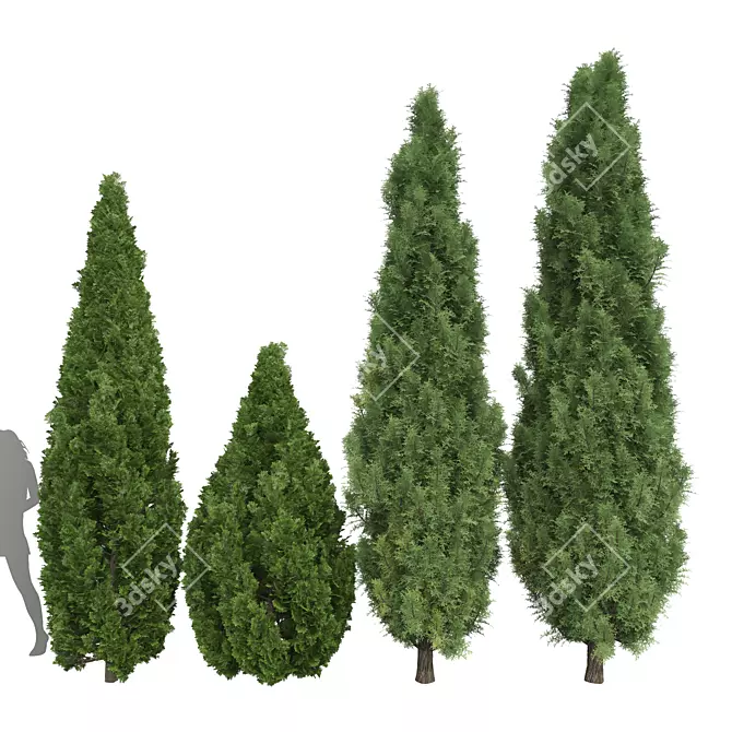 Mountain Juniper 3D Tree Models 3D model image 1