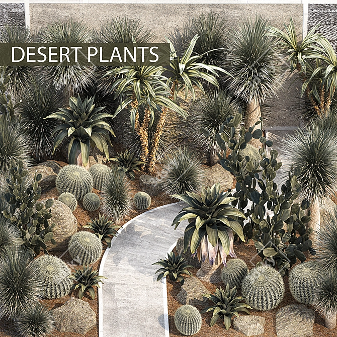 Desert Oasis Plant Collection 3D model image 1