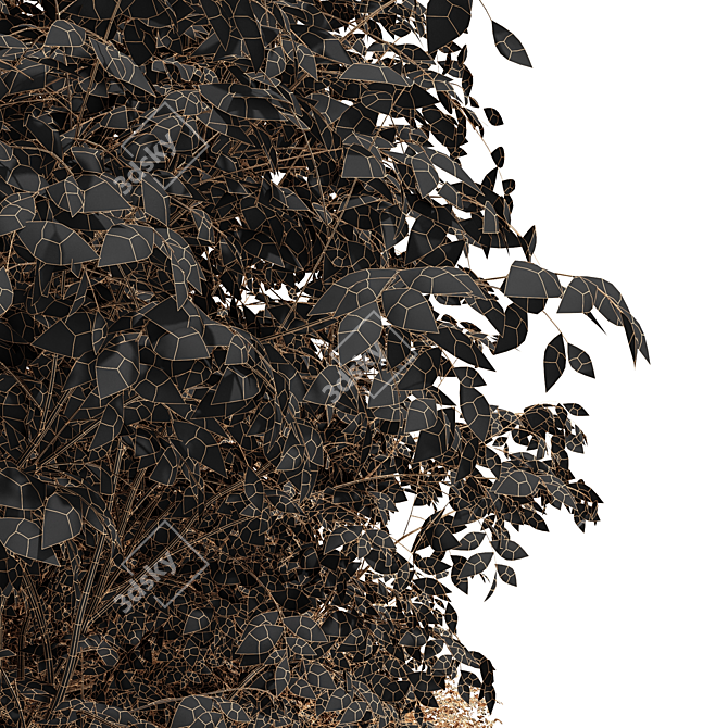 Real Fall Tree 3D Models 3D model image 7