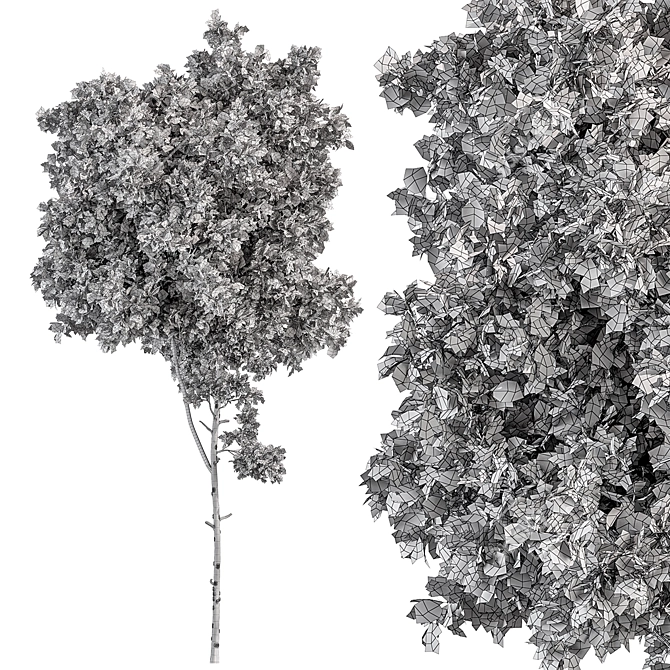 Sourwood Tree Set for Landscaping 3D model image 3