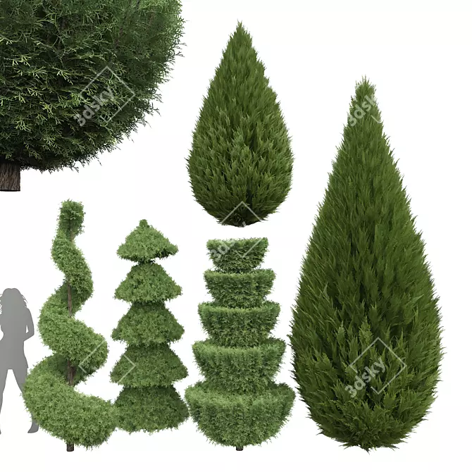 Premium 3D Cypress Tree Models 3D model image 1