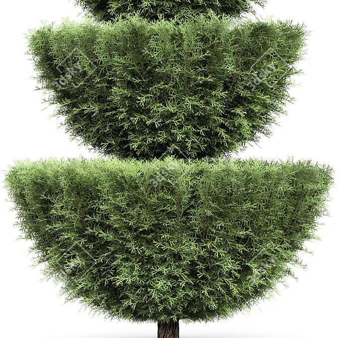 Premium 3D Cypress Tree Models 3D model image 4