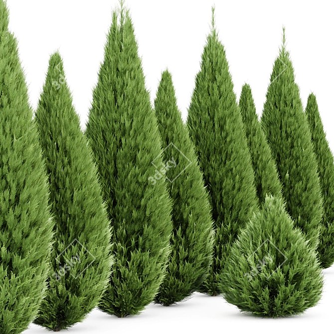 Premium 3D Cypress Tree Models 3D model image 5