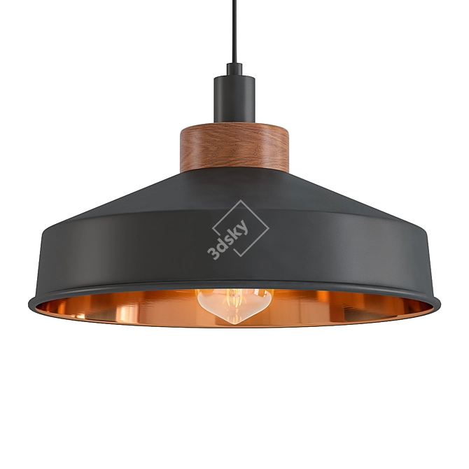 Cosmos Graphite Copper Pendant Light 3D model image 1