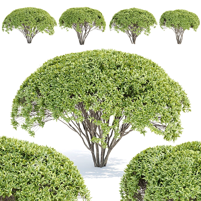 Green Bushes Vol. 193 Models 3D model image 1
