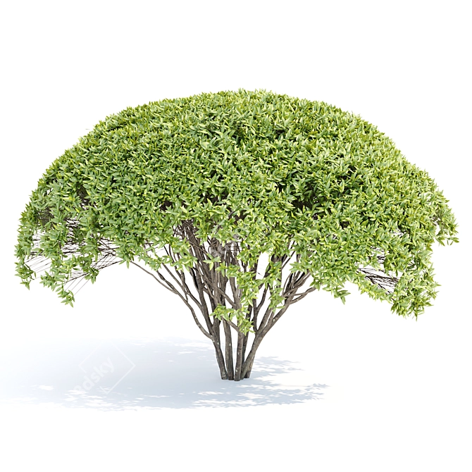Green Bushes Vol. 193 Models 3D model image 2
