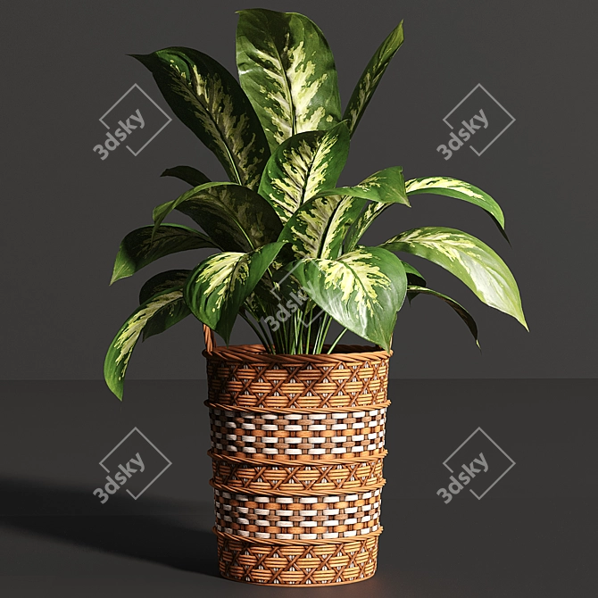 Variety Indoor Plants Collection 25 3D model image 5