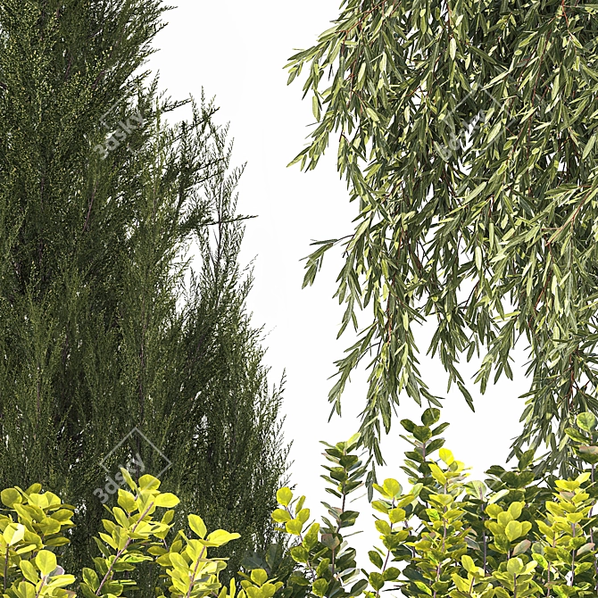 Urban Oasis Collection: Shrubs & Trees 3D model image 2