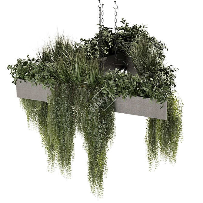 High-Quality Hanging Ampelous Bush Model 3D model image 2