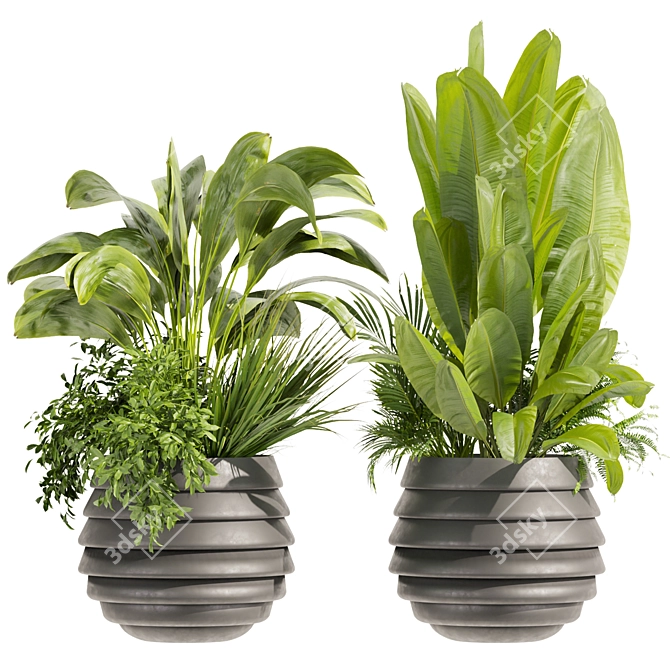 Premium Plant Collection - Banana & Palm 3D model image 1