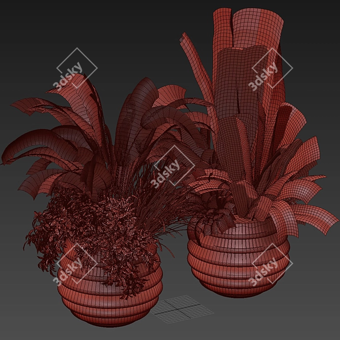 Premium Plant Collection - Banana & Palm 3D model image 6