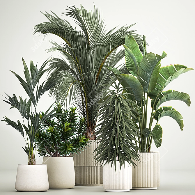 Tropical Plant Collection Ensemble 3D model image 1