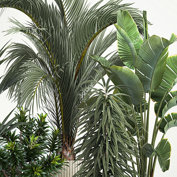 Tropical Plant Collection Ensemble 3D model image 3