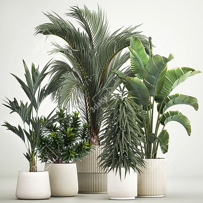 Tropical Plant Collection Ensemble 3D model image 8