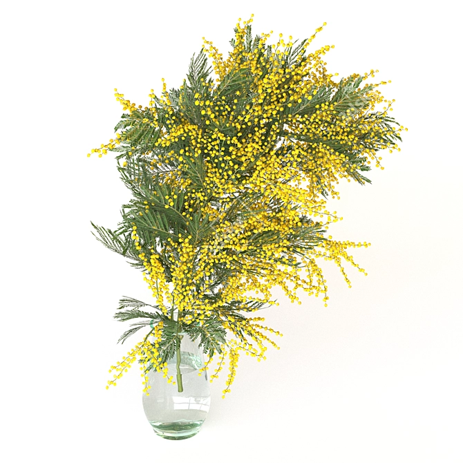 Mimosa Bouquet Collection for 3D 3D model image 4