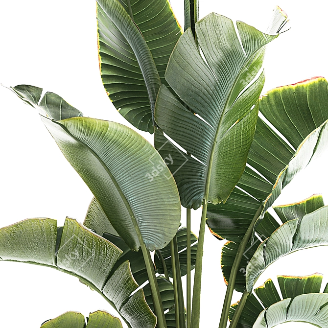 Tropical Foliage Set with Modern Vase 3D model image 3