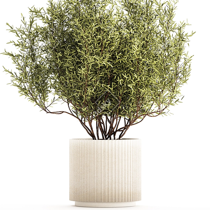 Modern Silver Olive Tree Décor 3D model image 2