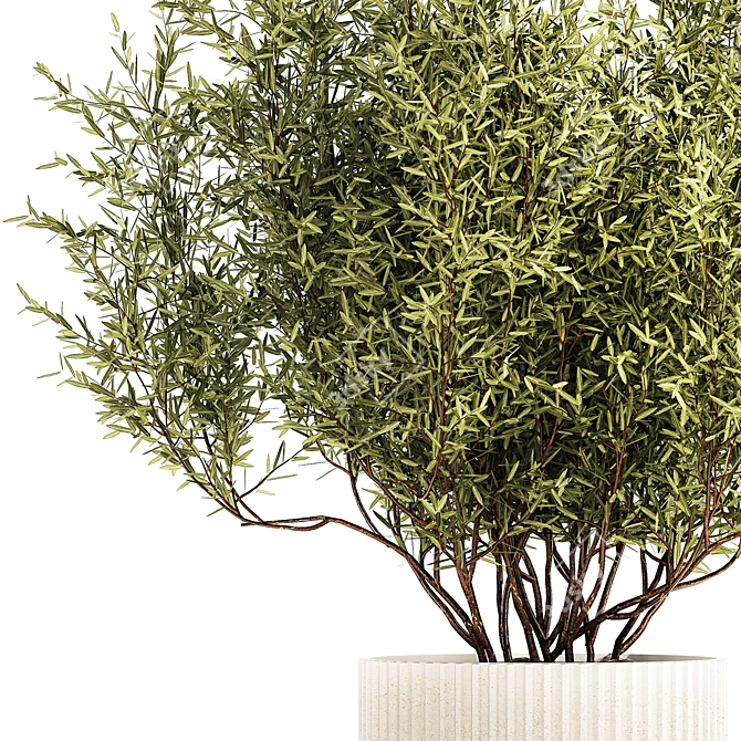 Modern Silver Olive Tree Décor 3D model image 4