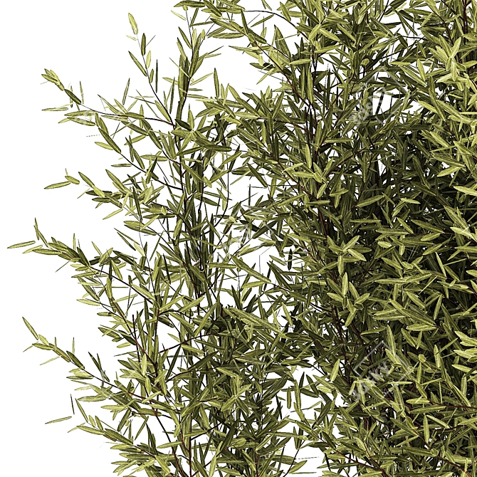 Modern Silver Olive Tree Décor 3D model image 5