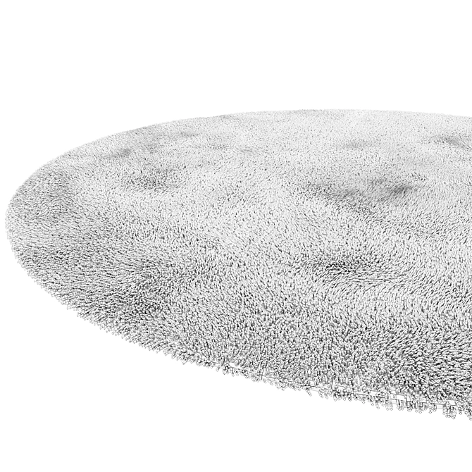  Plush Circle Rug 3D model image 6