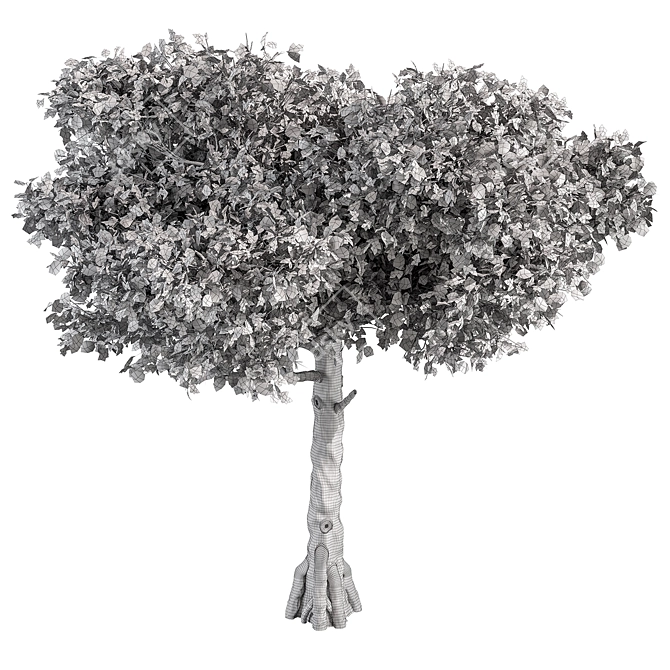 Title: Sourwood Tree Collection 159 3D model image 5