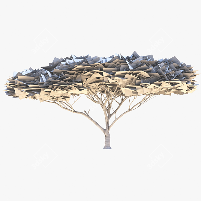 High-Quality Vachellia Tortilis Model 3D model image 6