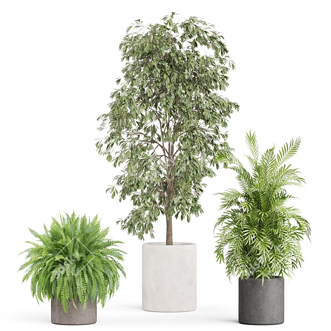  Botanical Bundle 922 3D model image 2