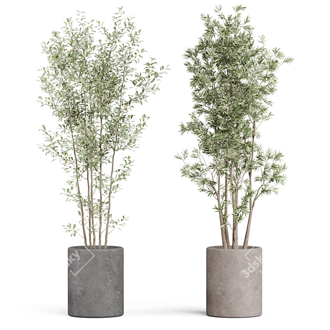  Botanical Bundle 922 3D model image 3