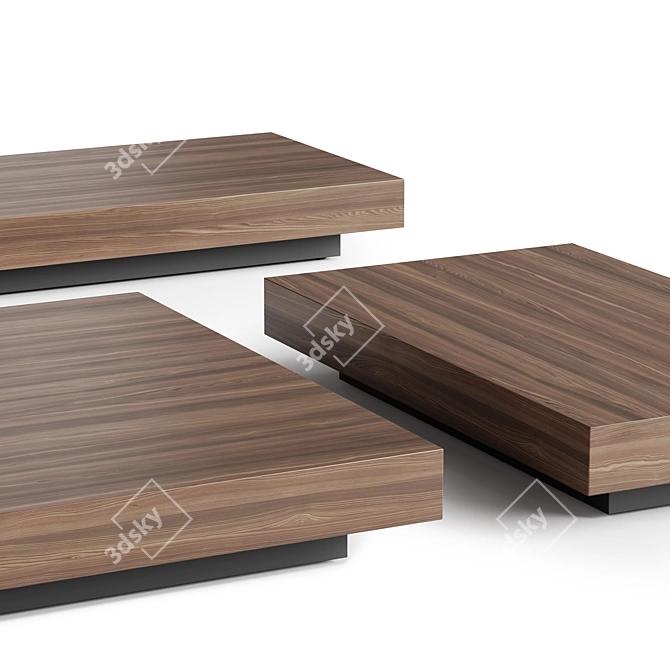 Modern Minimalist Molteni&C MARTEEN Coffee Tables 3D model image 2