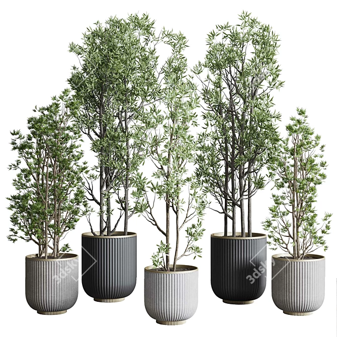 Modern Indoor Plant Set 3DMAX 3D model image 1