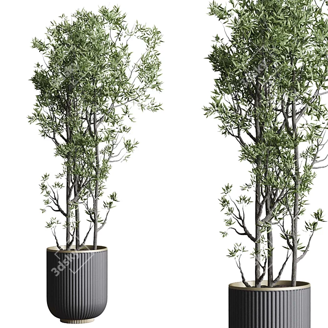 Modern Indoor Plant Set 3DMAX 3D model image 3