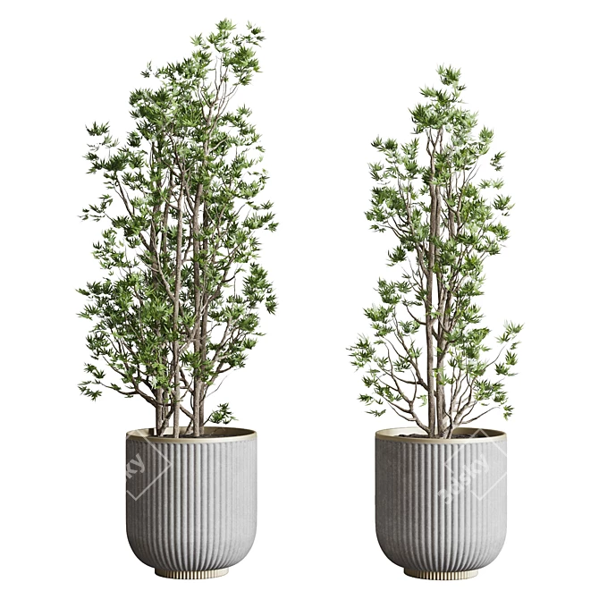 Modern Indoor Plant Set 3DMAX 3D model image 4