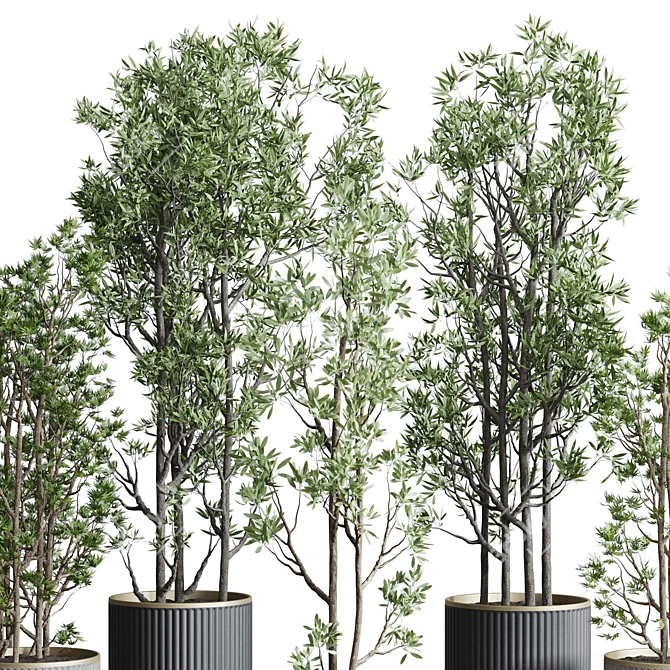 Modern Indoor Plant Set 3DMAX 3D model image 5