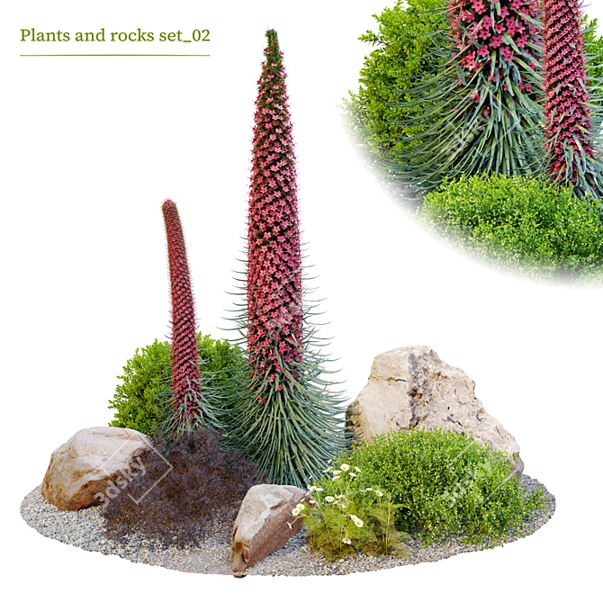 Plants & Rocks Collection Vray Model 3D model image 2