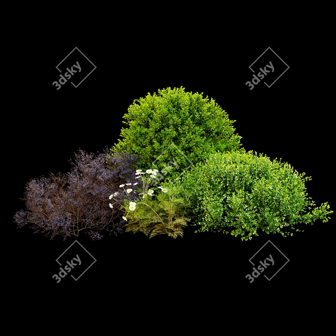 Plants & Rocks Collection Vray Model 3D model image 5