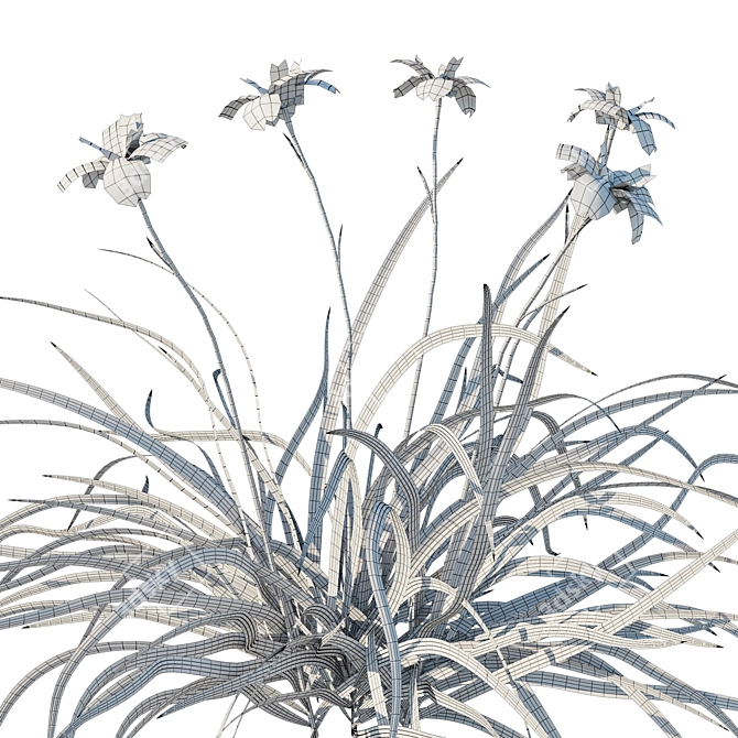 Douglas Iris 2017 Model 3D model image 4