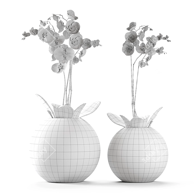 White Orchids in Round Vases 3D model image 2