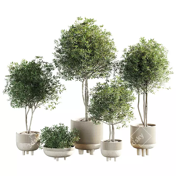 Botanical Collection Set Vray 3DMax 3D model image 1
