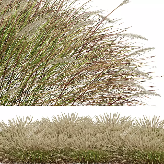 Golden-Spiked HQ Grass Ornament 3D model image 3
