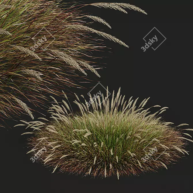 Golden-Spiked HQ Grass Ornament 3D model image 4