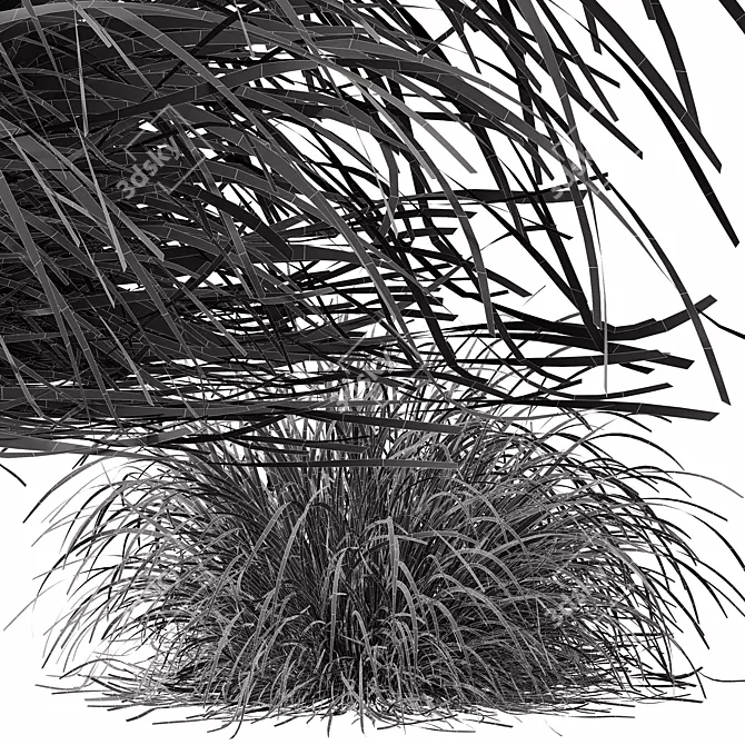 Golden Sedge Grass 3D Model 3D model image 6